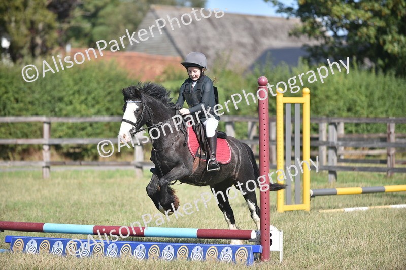 20260906-0940 - Class 7 - Absolute Novice Jumping 35cm