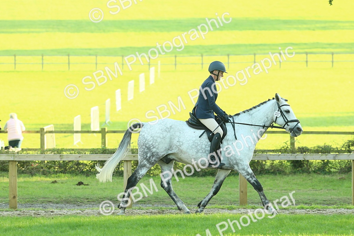 SBM_55595 - S14 - Riding Club Horse