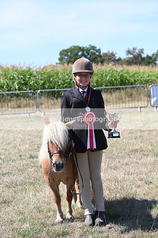 WJ6_8765 - Class 37b Best Loan Pony In-hand