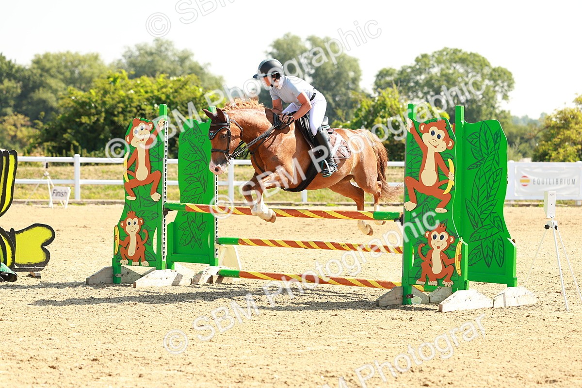 SBM_000054 - Class 2 - Senior British Novice - 90cm