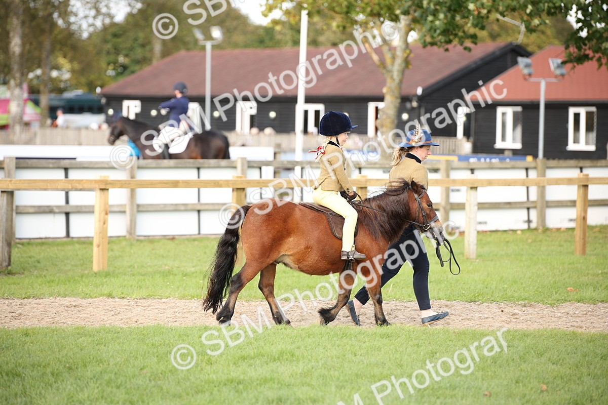 SBM_54261 - S27 - Mature Veteran - Ridden