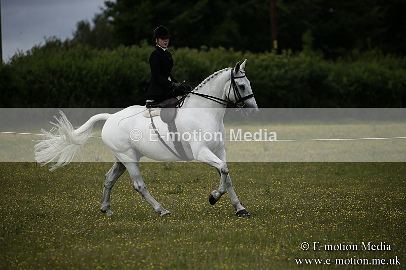 BVR160717-1643 - Side Saddle Classes 16/07/17