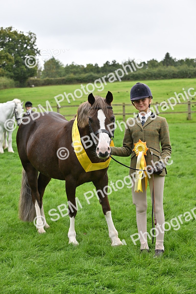 SBM_68614 - S42 - Junior Handler 9-12 Years