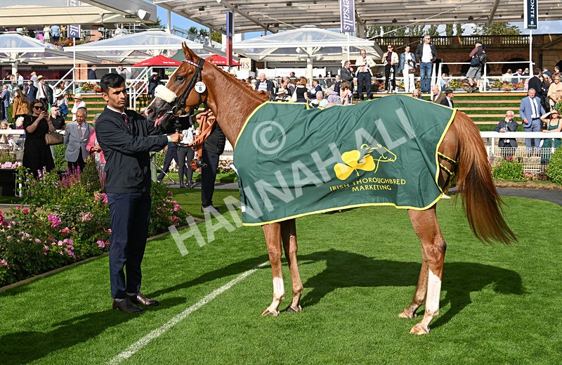 190826-244 Miss Yechance - Race 6 16.45pm Irish Thoroughbred Marketing Handicap