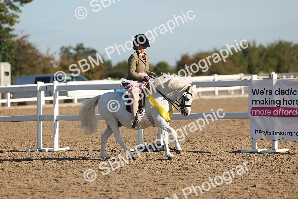 SBM_10939 - Class 301 - Ridden M&M Small Breeds