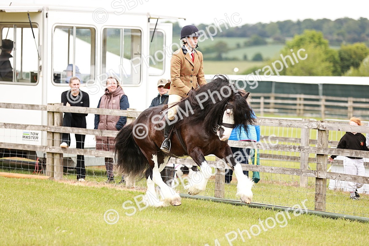 SBM_06123 - Class 39-41 TGCA In Hand and Ridden