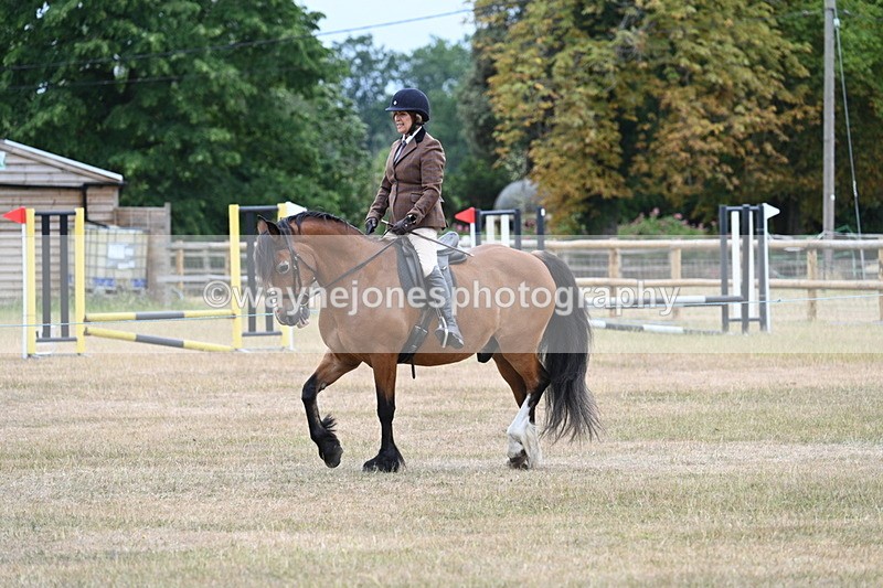 WJ7_0315 - Class 6 Ridden Mountain and Moorland