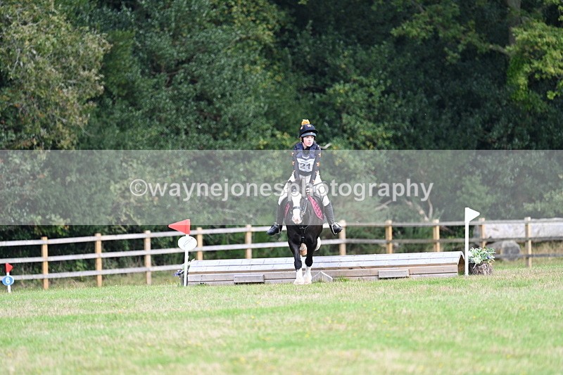 WJ7_8038 - 40cm Time 10:49 to 11:18