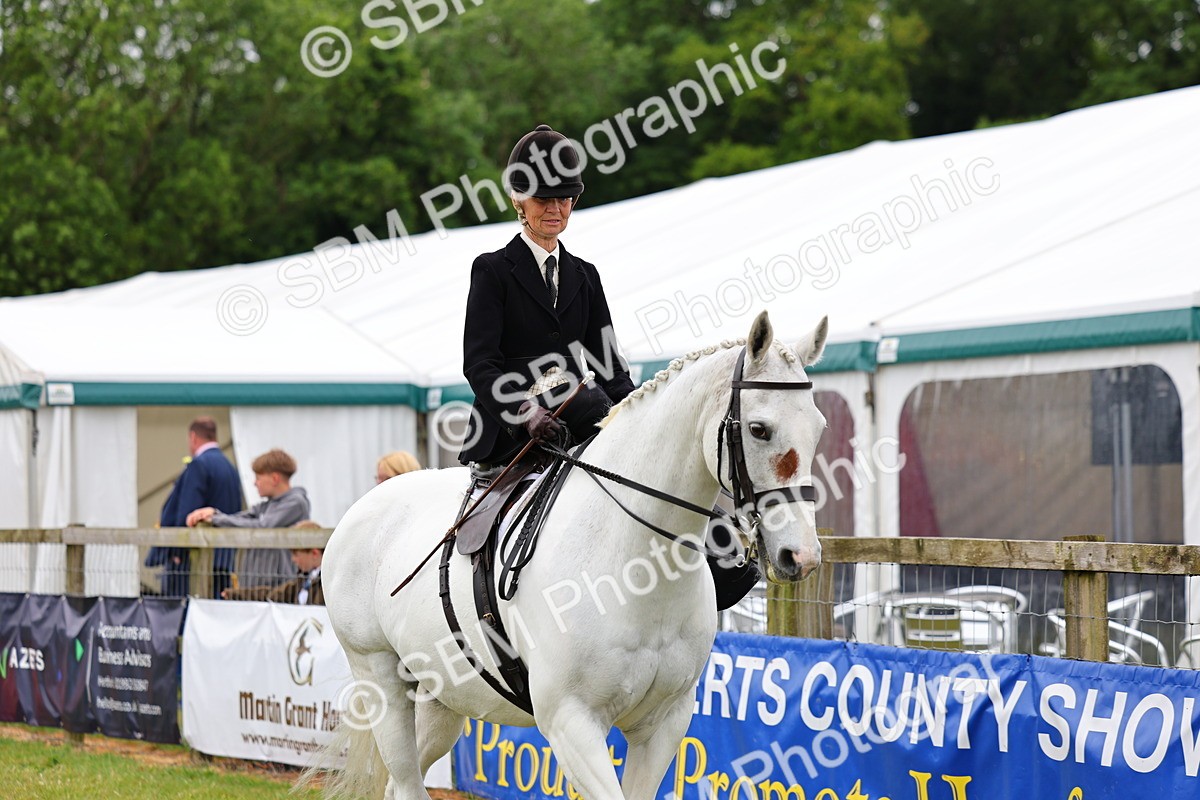 SBM_02685 - Class 9-11 Side Saddle including LIHS Rising Star Ladies Show Horse