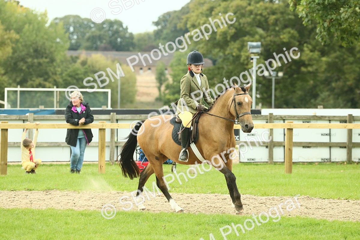 SBM_73966 - S 61 - Show Pony & Show Hunter Pony Ridden