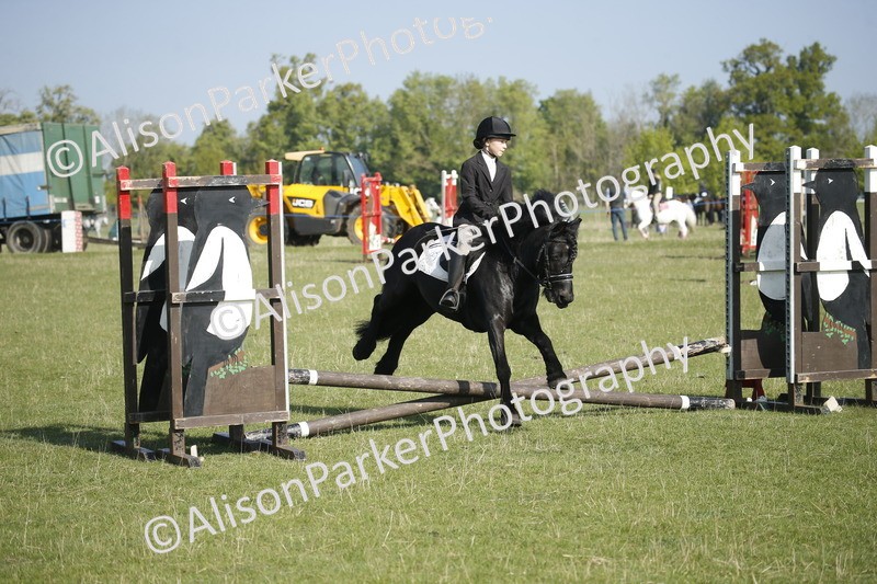 20250427-0320 - Class 12 - Rookie Jumping 40cm