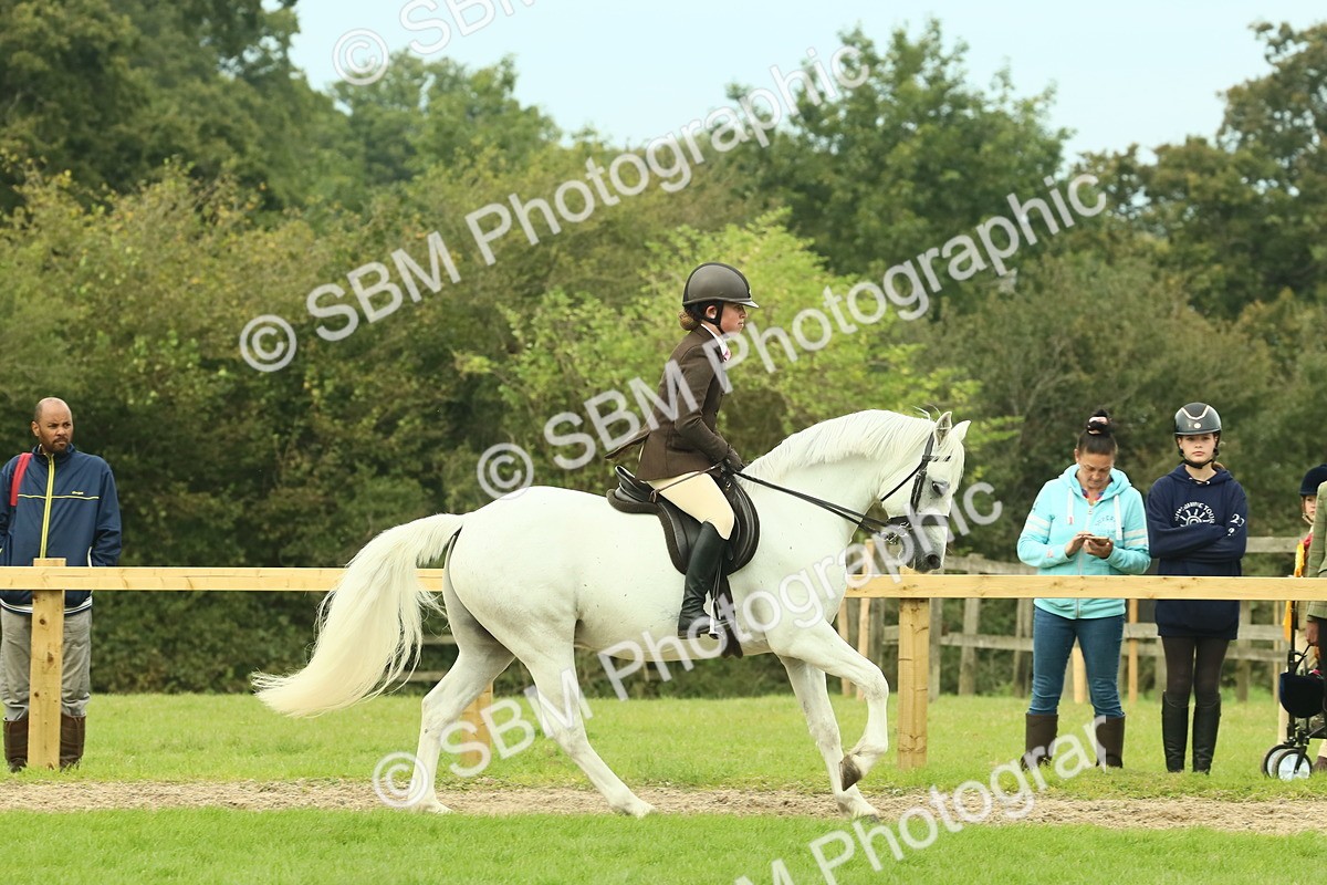 SBM_71904 - S60 - Mountain & Moorland Ridden Large Breeds
