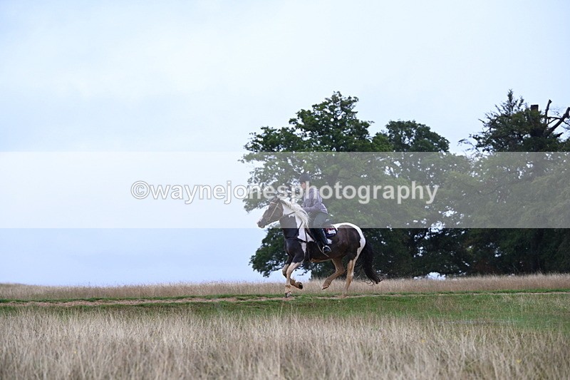 DSC_3271 - Time at Statue 12:59 to 13:49