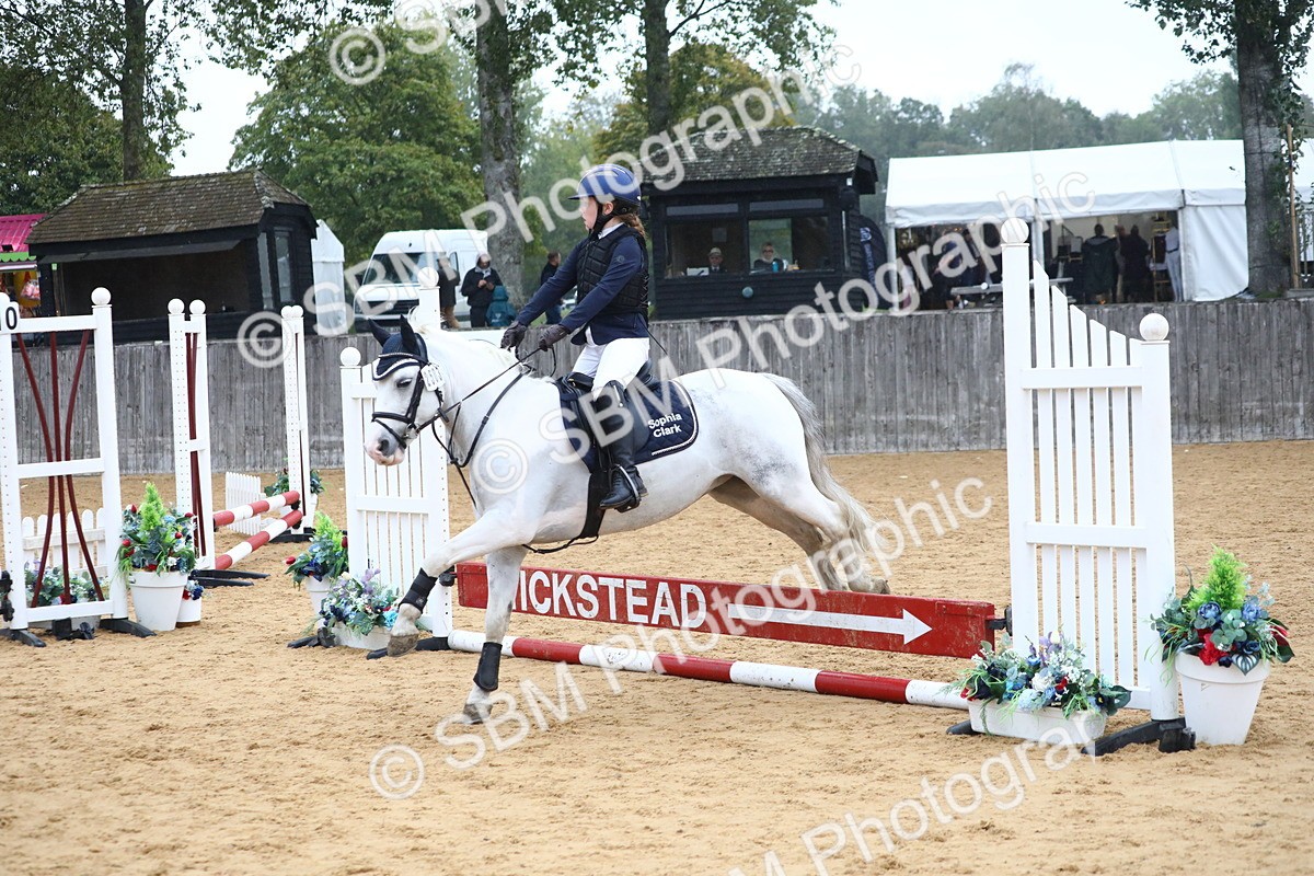 SBM_71597 - J4 - Mini Tour Junior Pony 45cm Championship