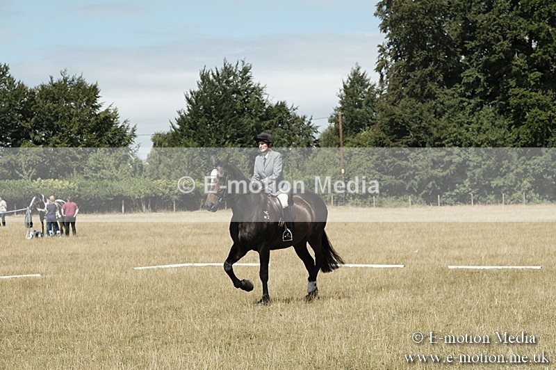 _PJP5815 - Dressage Classes BVRC Show 2018