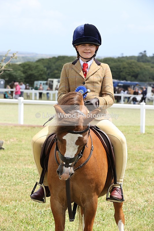 JPP_1986 - Class 18: Tiny Tots Working Hunter Pony