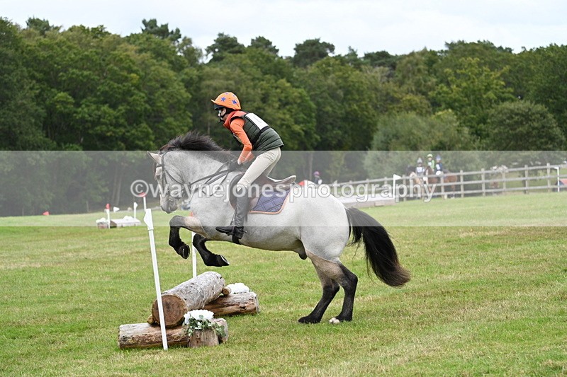 WJ7_8684 - 60cm Time 12:31 to 12:50