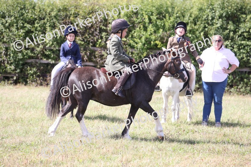 20260906-3084 - Class 18 - Childs First Pony