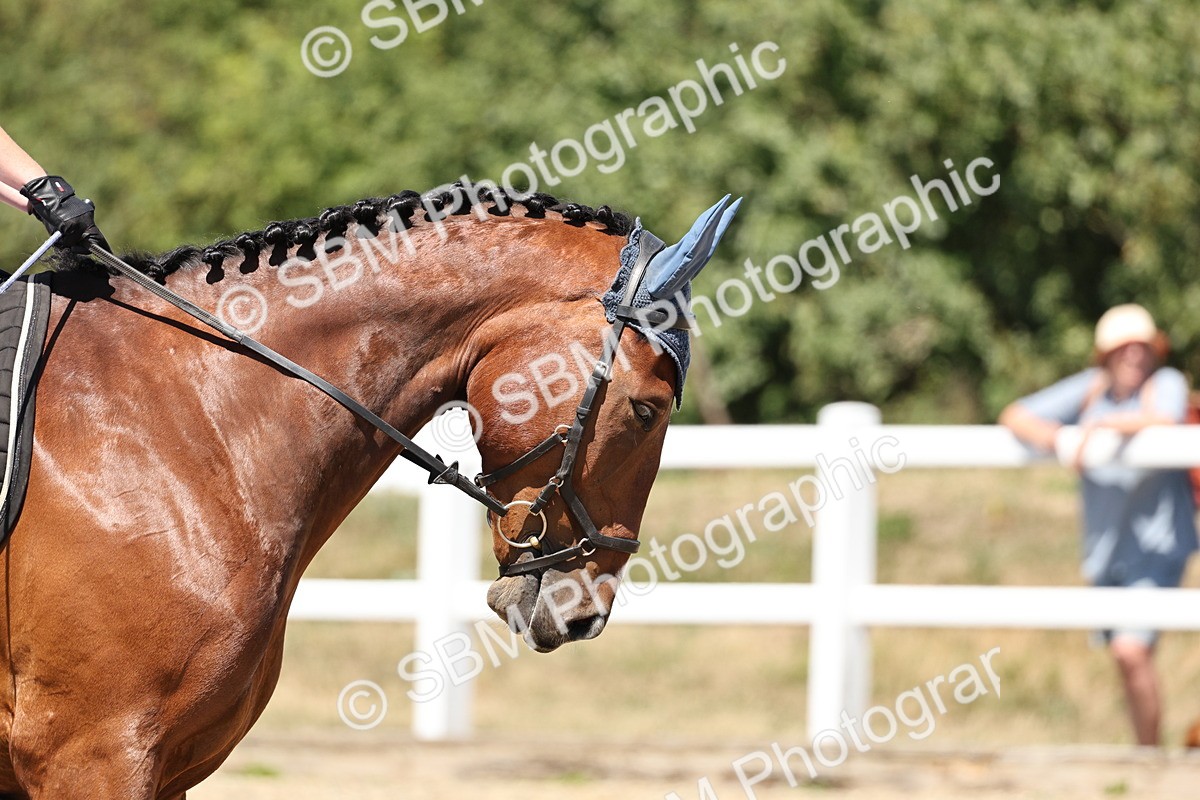 SBM_001733 - Prelim 4 - 11.25-13.24