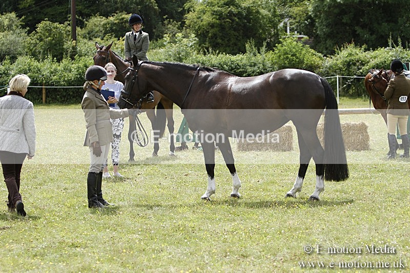 BVR160717-1854 - Ring 3 BVRC Show 16/07/17