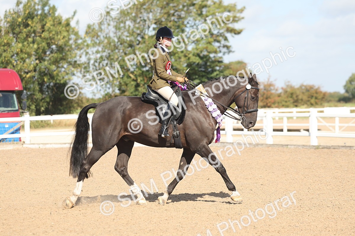 SBM_22699 - Class 805 - Ridden Veteran Horse