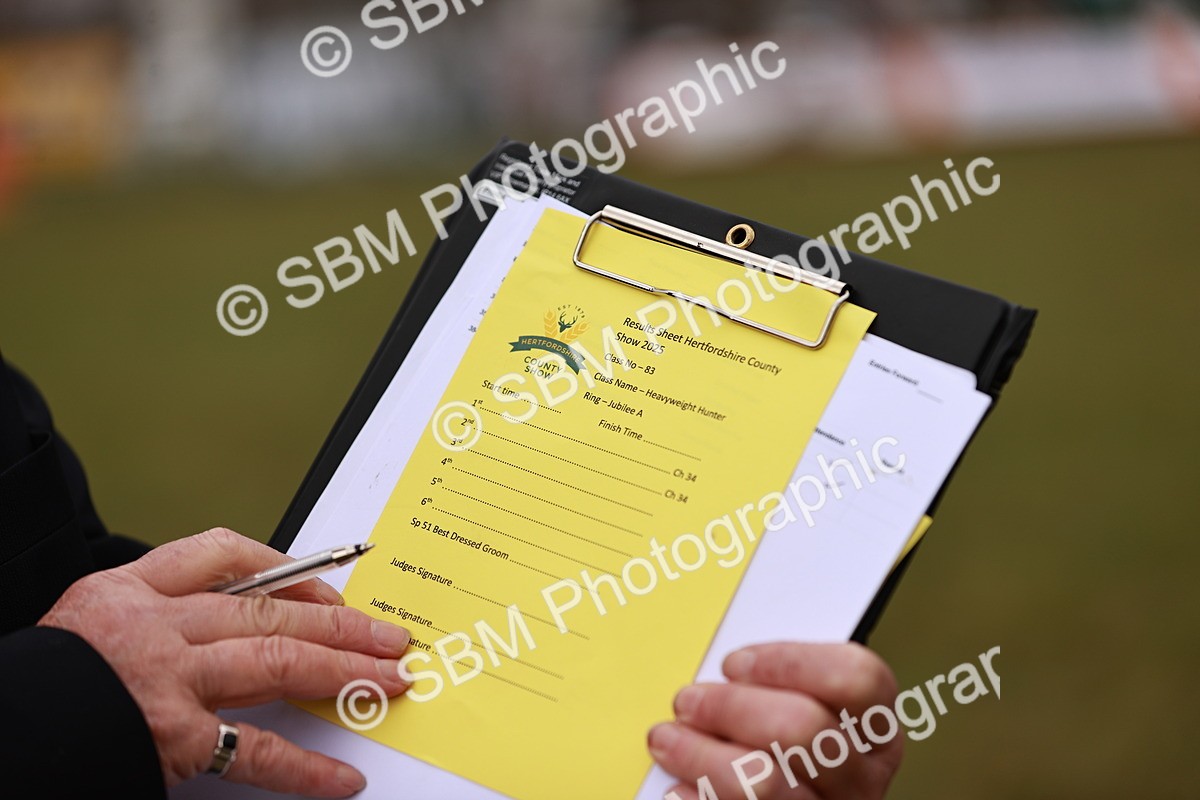 SBM_10901 - Class 81-84 - RIHS Ridden hunters Inc Ladies Hunter