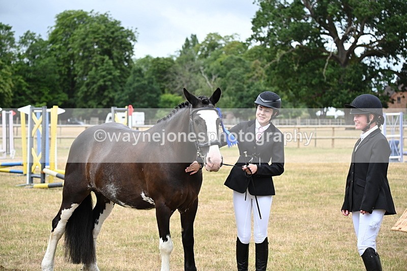 WJ6_4472 - Class 10 Coloured In-hand