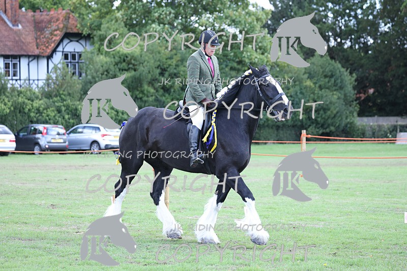 APP_3638 - Class 8 Ridden Class