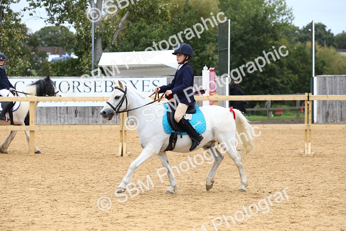 SBM_68146 - J3b - Mini Tour Junior Pony 40cm Championship