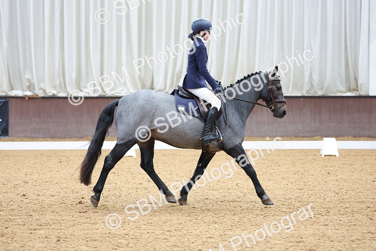 SBM_002581 - Novice