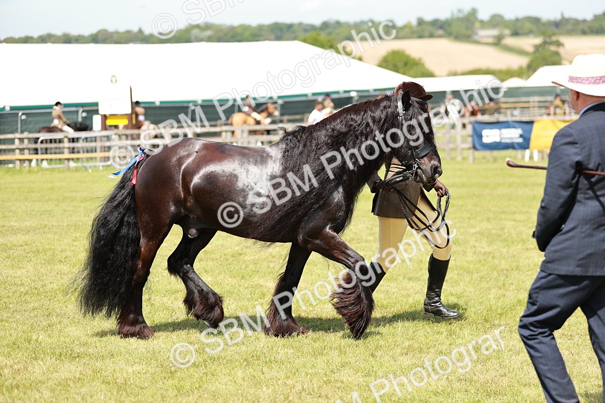 SBM_07170 - Class 26-30 - Mountain and Moorland Ridden