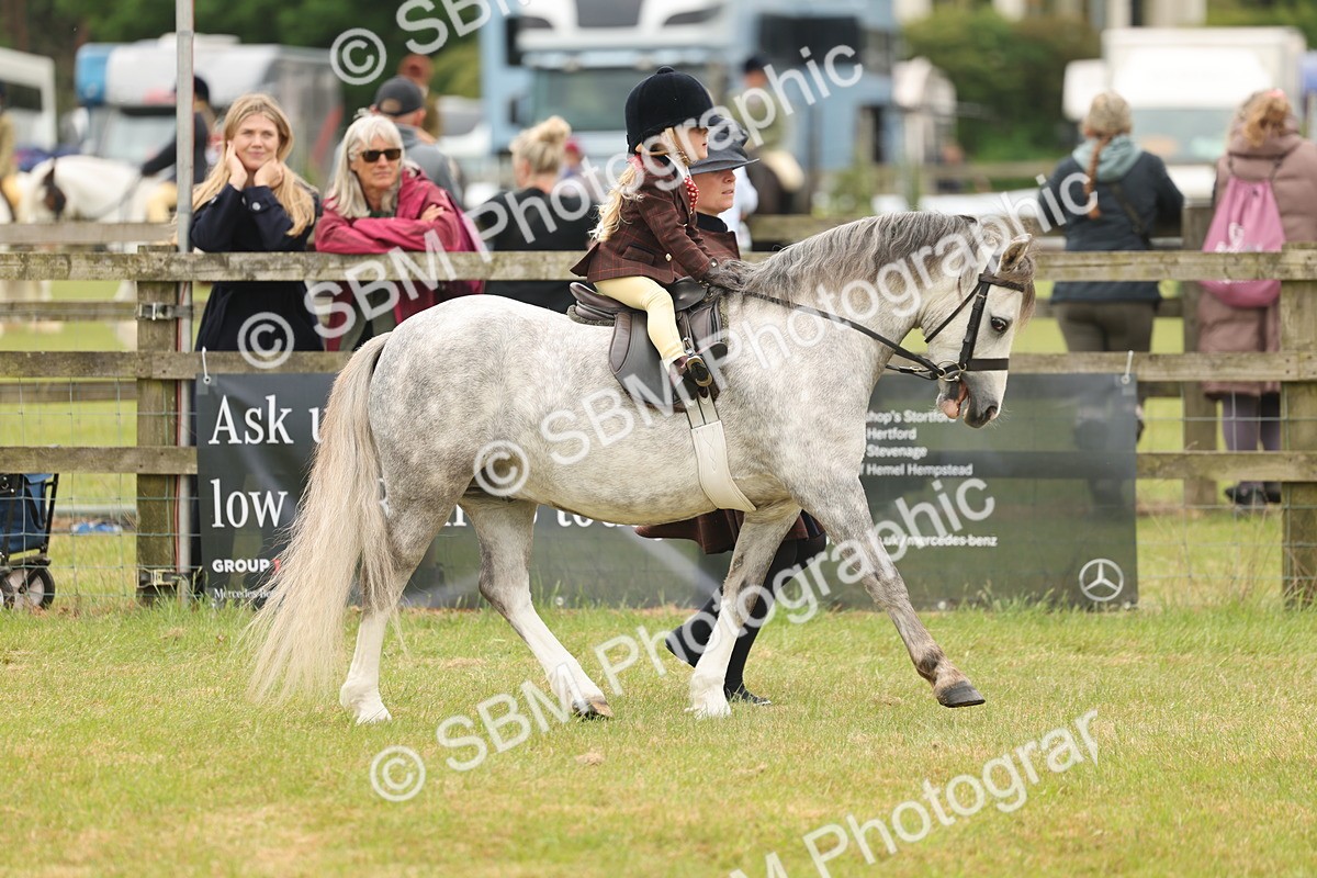 SBM_06673 - Class 74-75 - M&M Lead Rein and First Ridden Pony