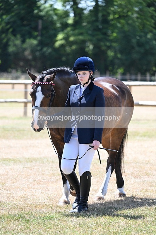 WJ7_2323 - Class 5a Most Handsome Gelding in hand (above 14.2hh)