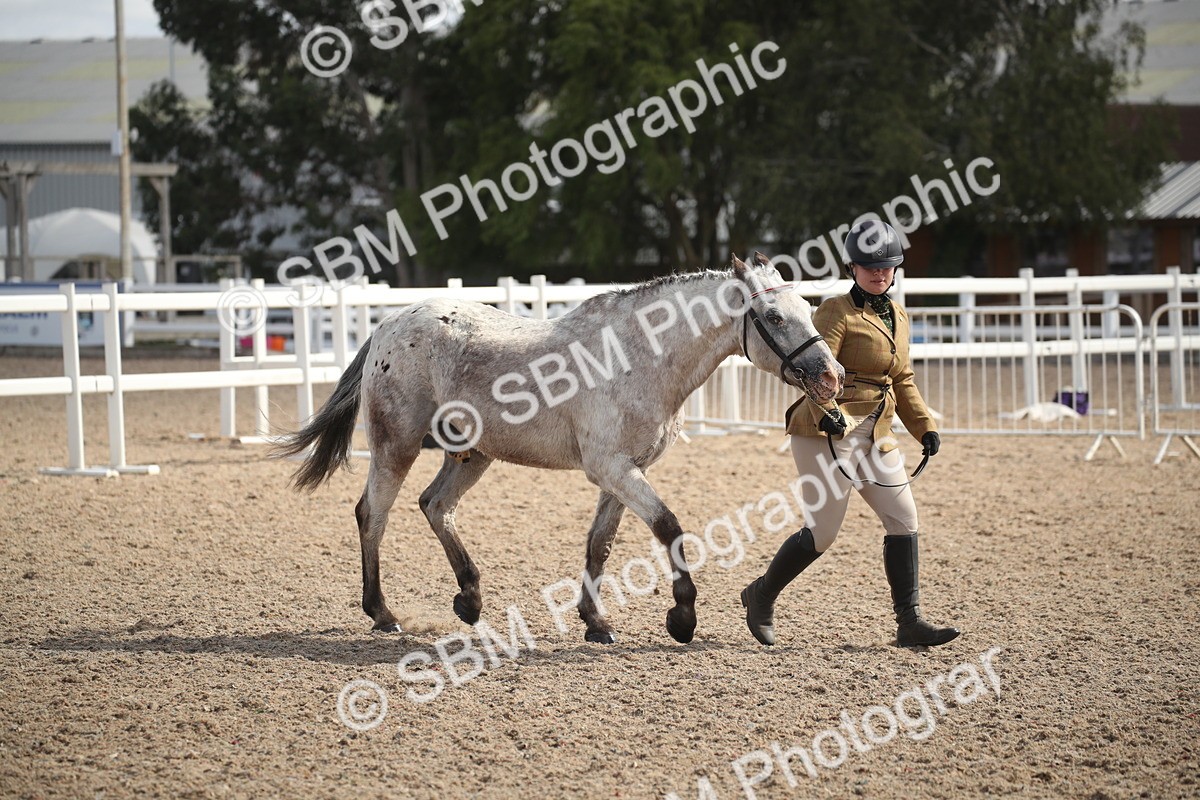 SBM_23430 - Class 604 - 2026 - Area IH Diamond