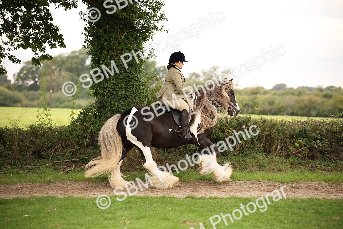 SBM_73444 - S68 - Traditional Cob Ridden