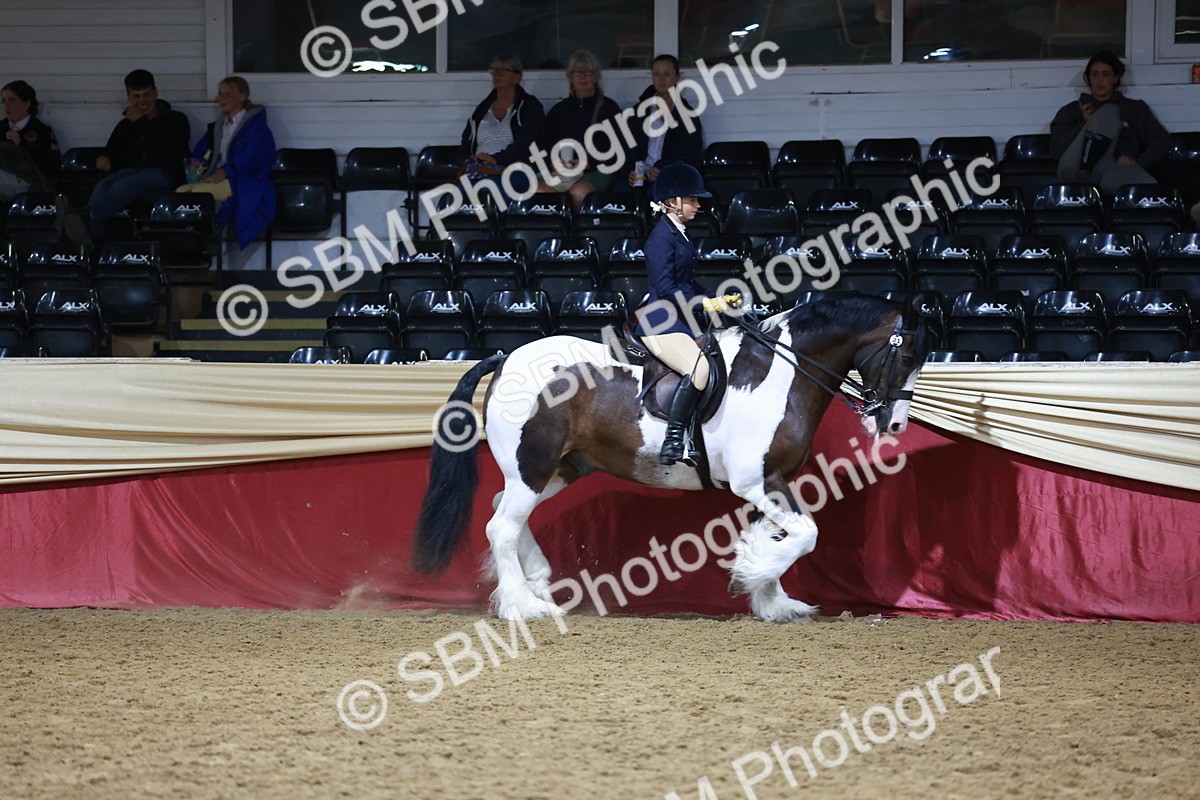 SBM_20271 - Class D - Grass Roots Champ