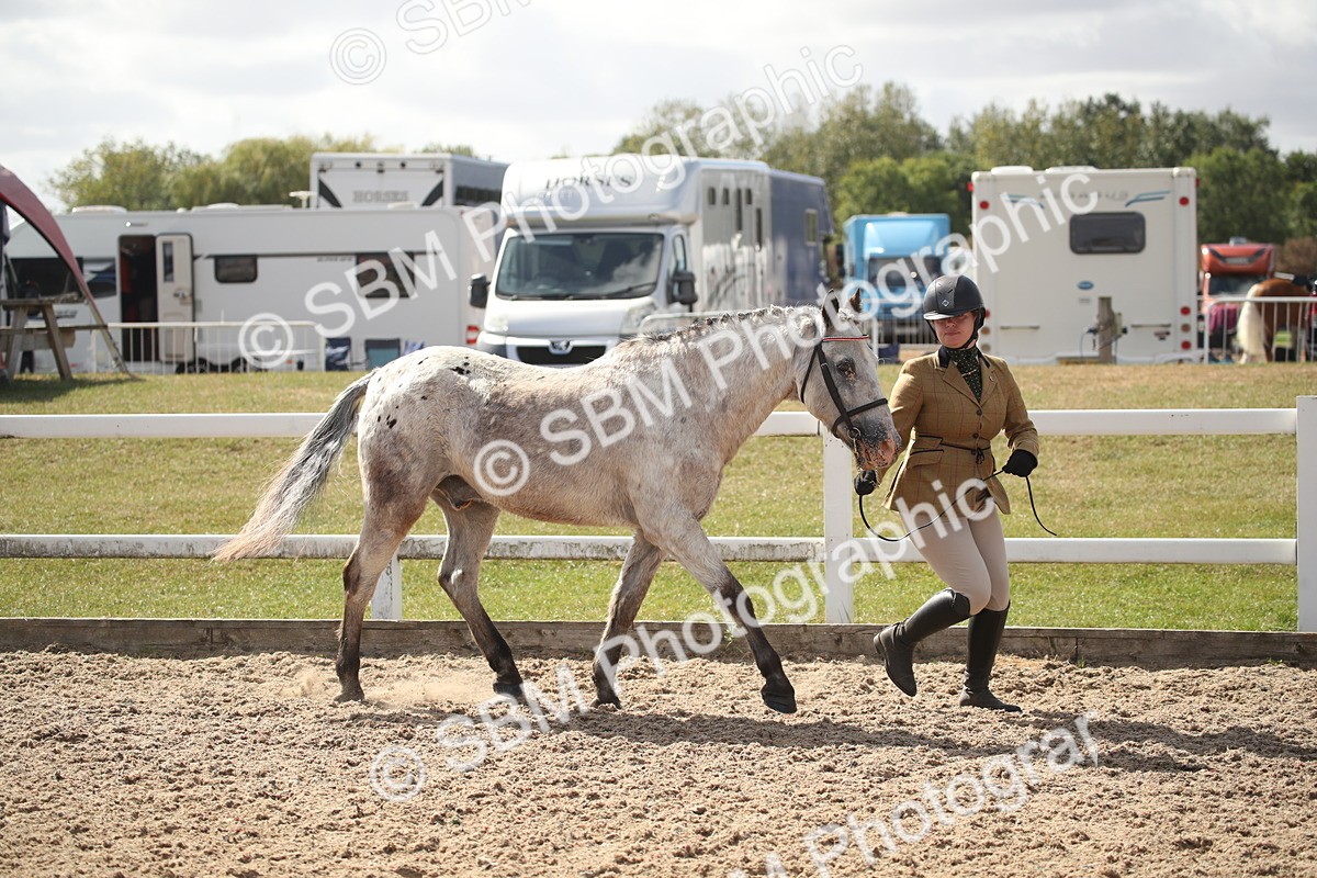 SBM_23397 - Class 604 - 2026 - Area IH Diamond