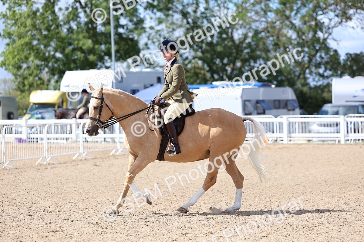 SBM_13288 - Class 311 - Ridden Show Pony Show Hunter Pony