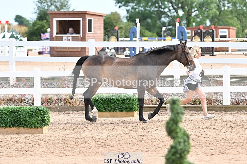 240717A-163841-03467 - Trot Up 4pm to 5pm