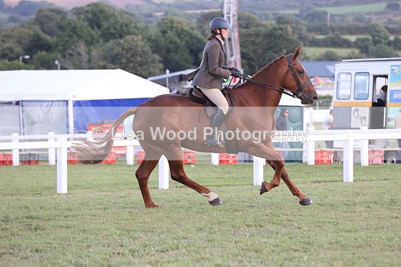 JPP_3679 - Class 24: Open Working Hunter