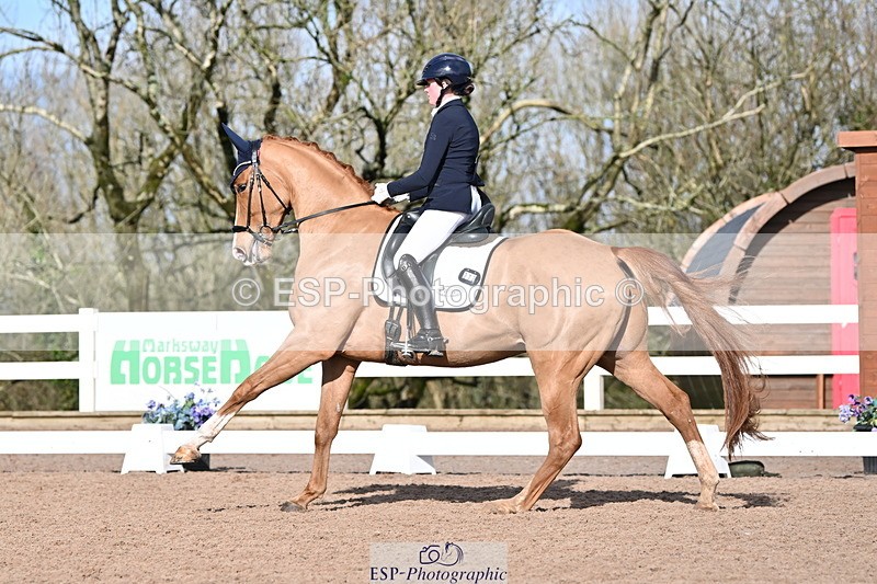 240218A-114445-06838 - 272-Beth.Bainbridge-Newton.Dreamcatcher