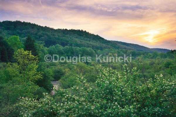 Valley View - Allegheny National Forest