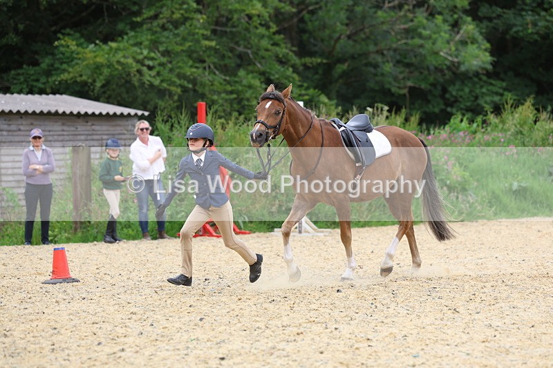 3E7A9563 - Walk trot run