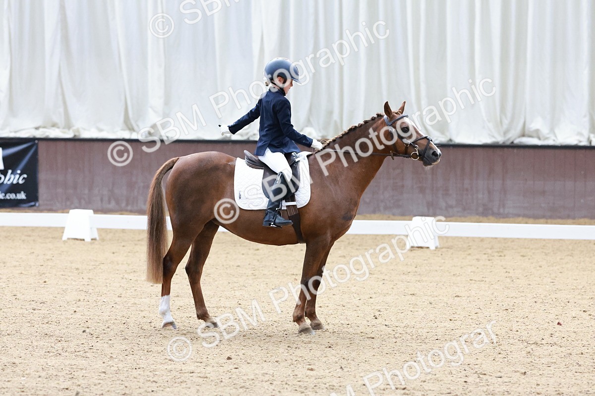 SBM_003157 - Intro 2