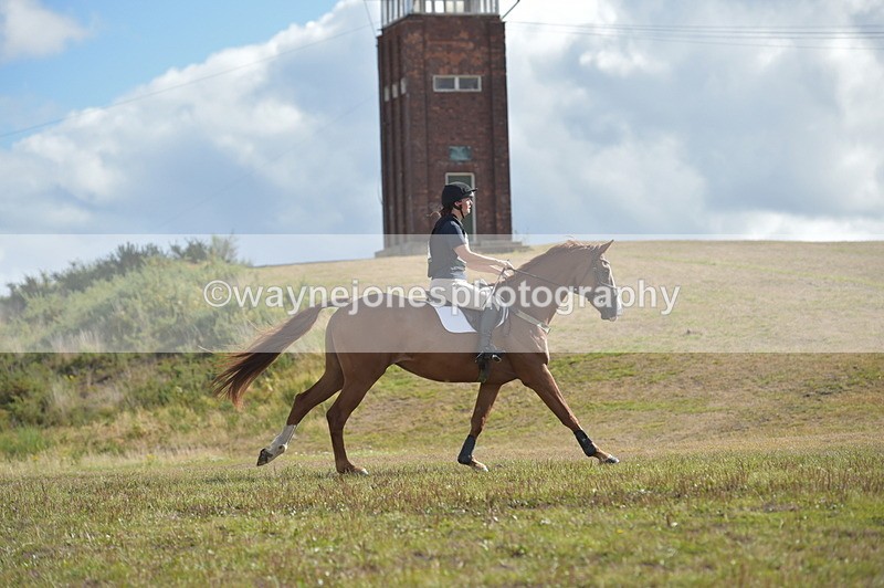 NGP_0379 - XC Time 10:02 to 10:21