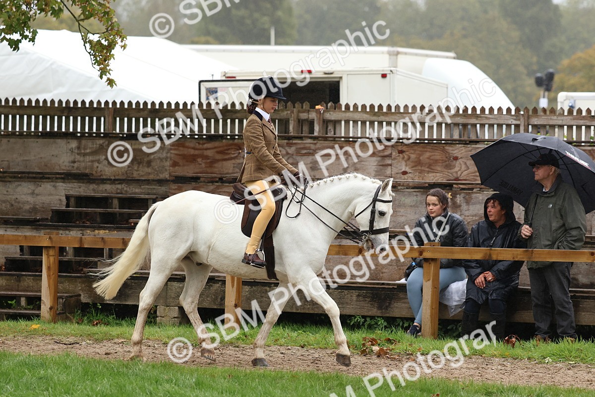 SBM_72995 - S63 Show Pony & Show Hunter Pony Ridden