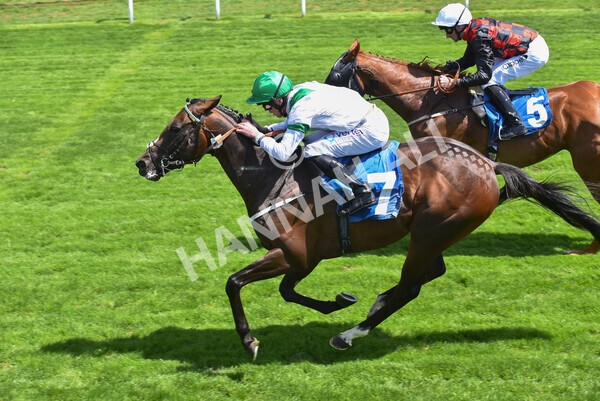 yr09072022r1-47 - Race 1 1.45pm John Smith's Racing Stakes