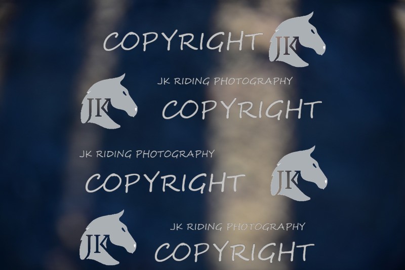 SBP_1188 - 10am - 11am