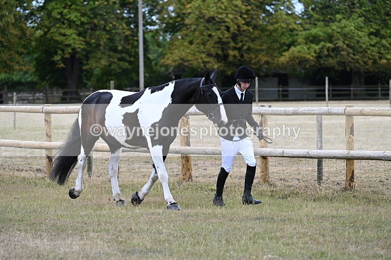 WJ7_8826 - Class 4a Prettiest Mare 14.2hh and over