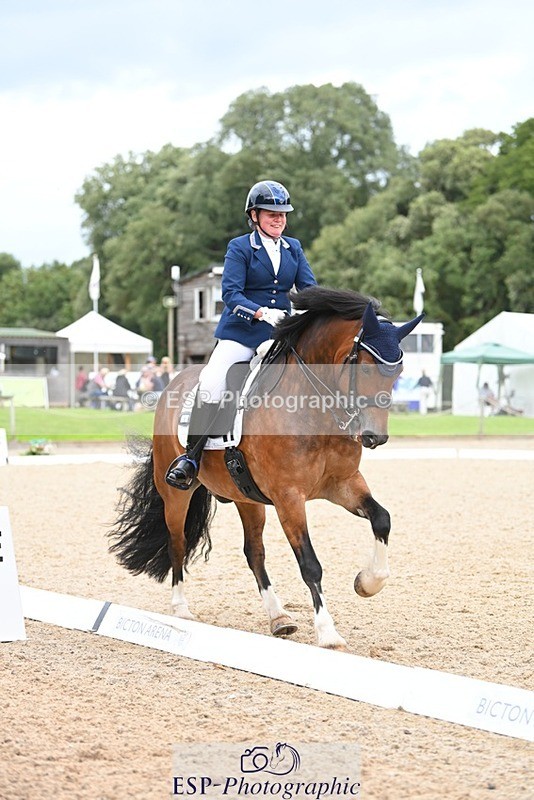 230813-142718-07763 - Cls 13 Medium Bronze 13.15 to End